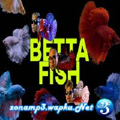 Alldone Klaar - Betta Fish Feat Saykoji & Ngapz