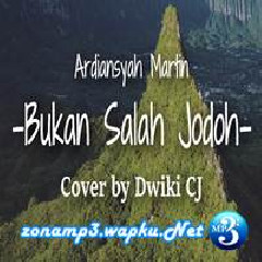 Dwiki CJ - Bukan Salah Jodoh - Ardiansyah Martin (Cover)