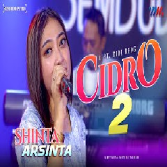 Download Lagu Shinta Arsinta - Cidro 2 Ft Sembodo Putro Terbaru