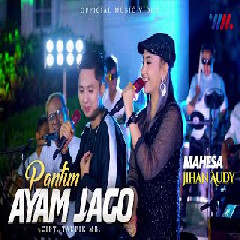 Download Lagu Jihan Audy - Pantun Ayam Jago feat Mahesa Terbaru
