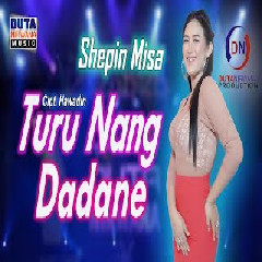 Download Lagu Shepin Misa - Turu Nang Dadane Terbaru