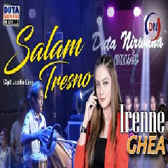 Download Lagu Irenne Ghea - Salam Tresno Terbaru