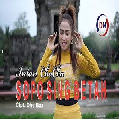 Download Lagu Intan Chacha - Sopo Sing Betah Terbaru