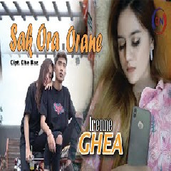 Download Lagu Irenne Ghea - Sak Ora Orane Terbaru