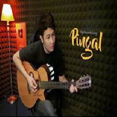 Nathan Fingerstyle - Pingal
