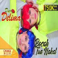 Download Lagu Duo Delima - Bocah Tua Nakal Terbaru