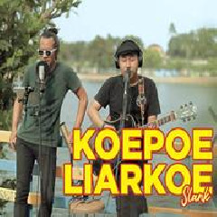 Download Lagu Pribadi Hafiz - Koepoe Liarkoe Terbaru
