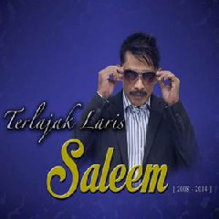Download Lagu Saleem - Tak Ingin Sendiri Terbaru