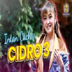 Intan Chacha - Cidro 3 Dj Remix
