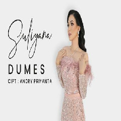 Download Lagu Suliyana - Dumes Terbaru