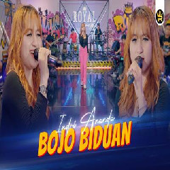 Download Lagu Indri Ananda - Bojo Biduan Terbaru