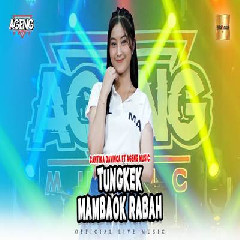 Download Lagu Cantika Davinca - Tungkek Mambaok Rabah Ft Ageng Music Terbaru