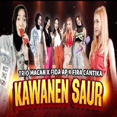 Download Lagu Trio Macan X Fida AP X Fira Cantika - Kawanen Saur Terbaru