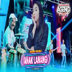 Download Lagu Din Annesia - Anak Lanang Ft Ageng Music Terbaru