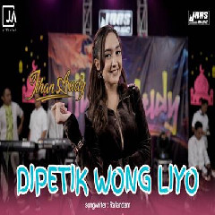 Download Lagu Jihan Audy - Dipetik Wong Liyo Terbaru