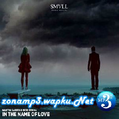 SMVLL - In The Name Of Love (Reggae Bootleg)