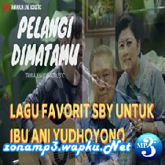 Download Lagu Tami Aulia - Pelangi Dimatamu - Jamrud (Cover) Terbaru