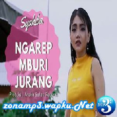 Download Lagu Syahiba Saufa - Ngarep Mburi Jurang Terbaru