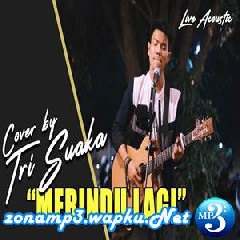 Tri Suaka - Merindu Lagi (Acoustic Cover)