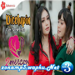 2Mercon - Dicelupin