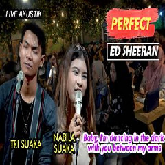 Download Lagu Nabila Suaka - Perfect Ft. Tri Suaka (Cover) Terbaru