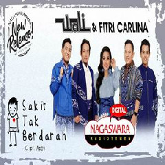 Download Lagu Wali & Fitri Carlina - Sakit Tak Berdarah Terbaru