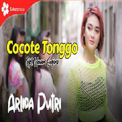 Download Lagu Arlida Putri - Cocote Tonggo Terbaru