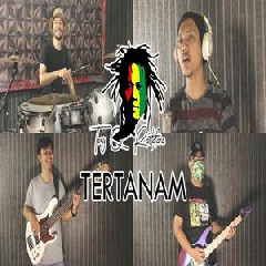 Sanca Records - Tertanam - Tony Q Rastafara (Cover)