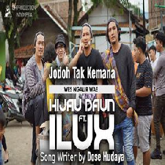 Hijau Daun - Jodoh Tak Kemana (Wes Ngalir Wae) Feat Ilux ID