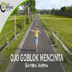 Download Lagu Safira Inema - Ojo Goblok Mencinta Terbaru