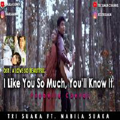 Nabila Suaka - I Like You So Much Youll Know It (Cover Ft. Tri Suaka)