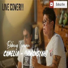 Andika Mahesa - Camelia (Cover)
