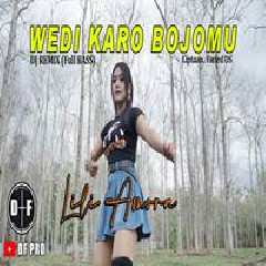 Download Lagu Lili Amora - Dj Wedi Karo Bojomu Full Bass Terbaru