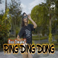 Dj Acan - Dj Call Me Baby Ring Ding Dong Bass Dangdut Wan Gombel