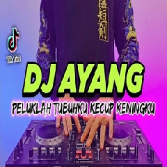 Download Lagu Dj Didit - Dj Peluklah Tubuhku Kecup Keningku Tiktok Viral Remix Full Bass 2022 Terbaru