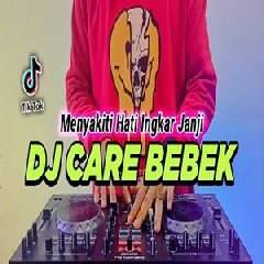 Download Lagu Dj Didit - Dj Care Bebek Tiktok Viral Remix Full Bass Terbaru 2022 Terbaru