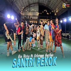 Download Lagu Esa Risty - Santri Pekok Ft Erlangga Gusfian Terbaru