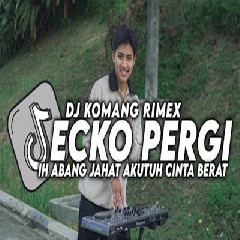 Download Lagu Dj Komang - Dj Ecko Pergi Meninggalkanku Terbaru