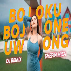 Download Lagu Shepin Misa - Dj Remix Bojoku Bojone Uwong Terbaru
