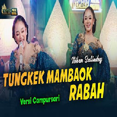 Download Lagu Niken Salindry - Tungkek Mambaok Rabah Versi Campursari Terbaru