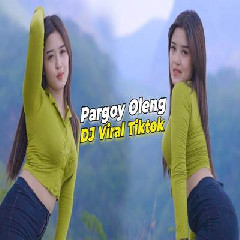 Download Lagu Imelia AG - Dj Viral Tiktok Dil Laga Lia Pargoy Terbaru