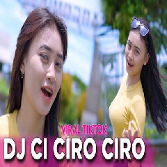 Download Lagu Dj Reva - Dj Setengah Kendang Ci Ciro Ciro Viral Tiktok Terbaru