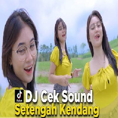 Download Lagu Dj Reva - Dj Setengah Kendang Random Kecak Enak Buat Cek Sound Terbaru
